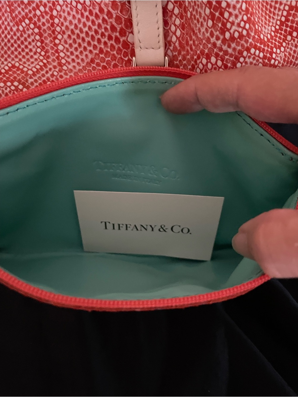 Tiffany & Co. Snake-Print tote with pouchette - Picture 7 of 16